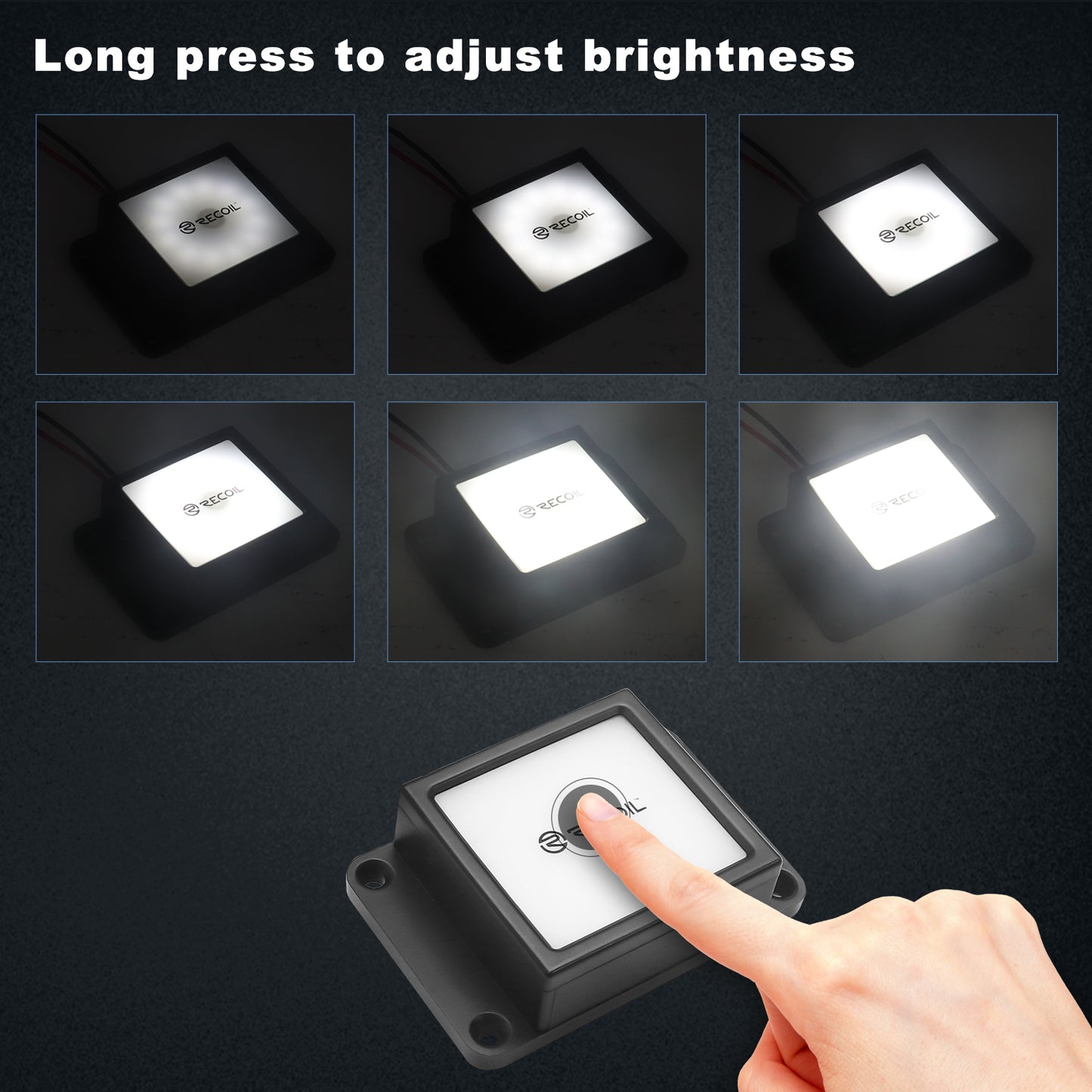 WDL white led dome light