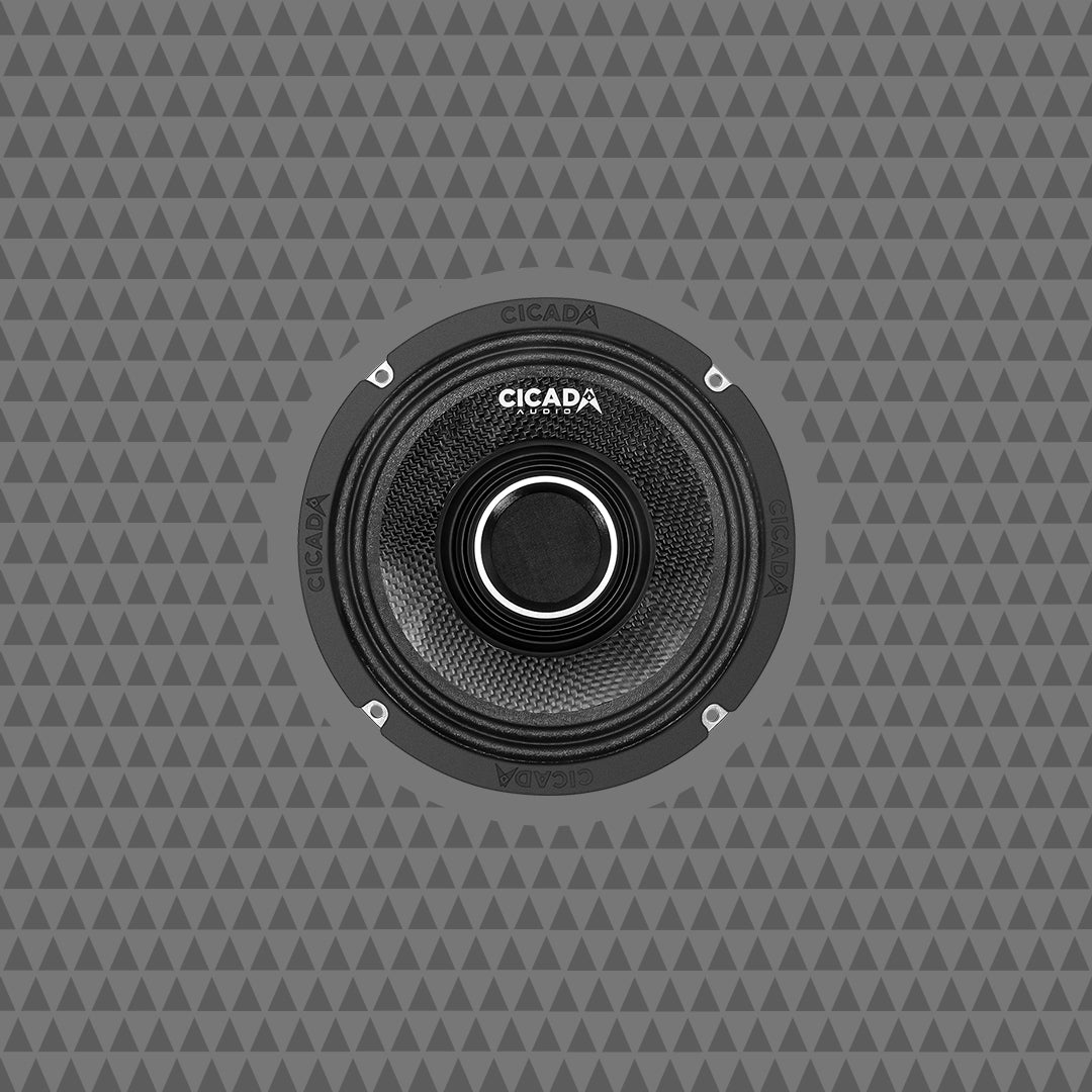 CHX65 Pro Coax Horn Speakers