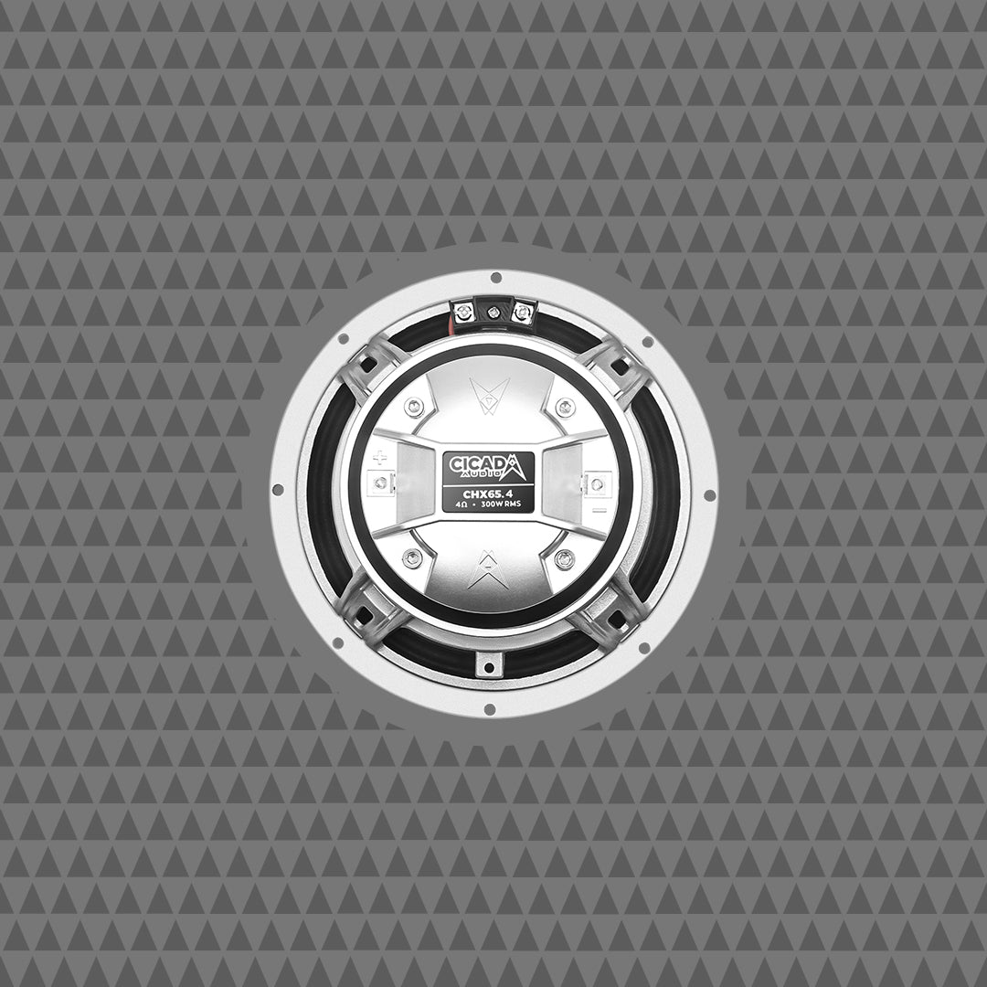 CHX65 Pro Coax Horn Speakers